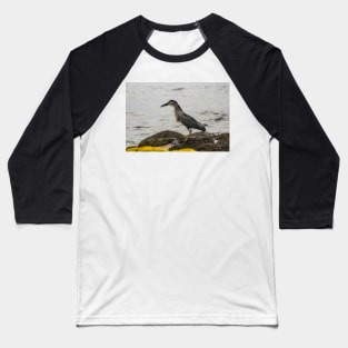 Black-crowned night heron of hawaii 2 Baseball T-Shirt